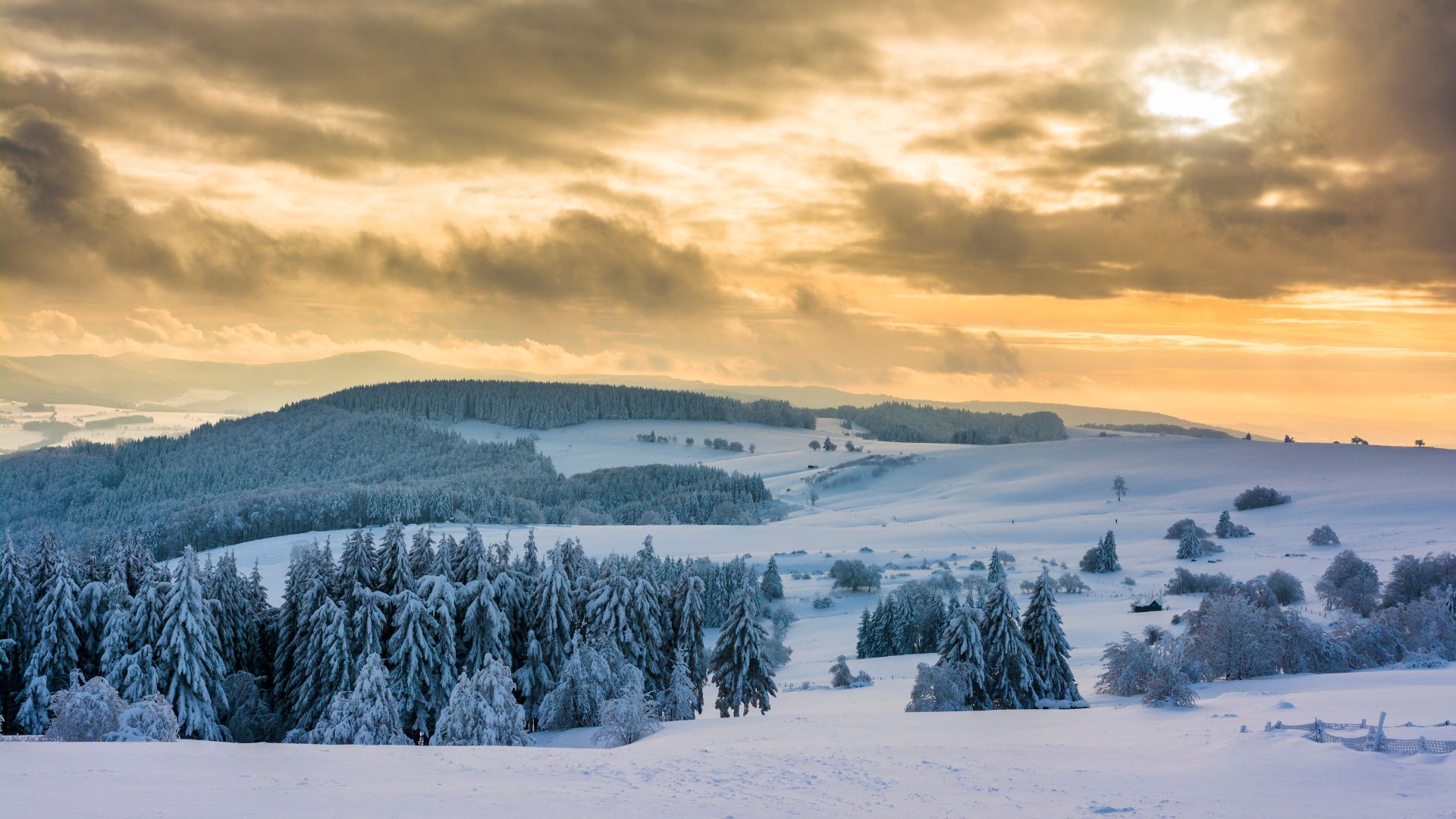 Paysage hivernal de la forêt noire en Allemagne