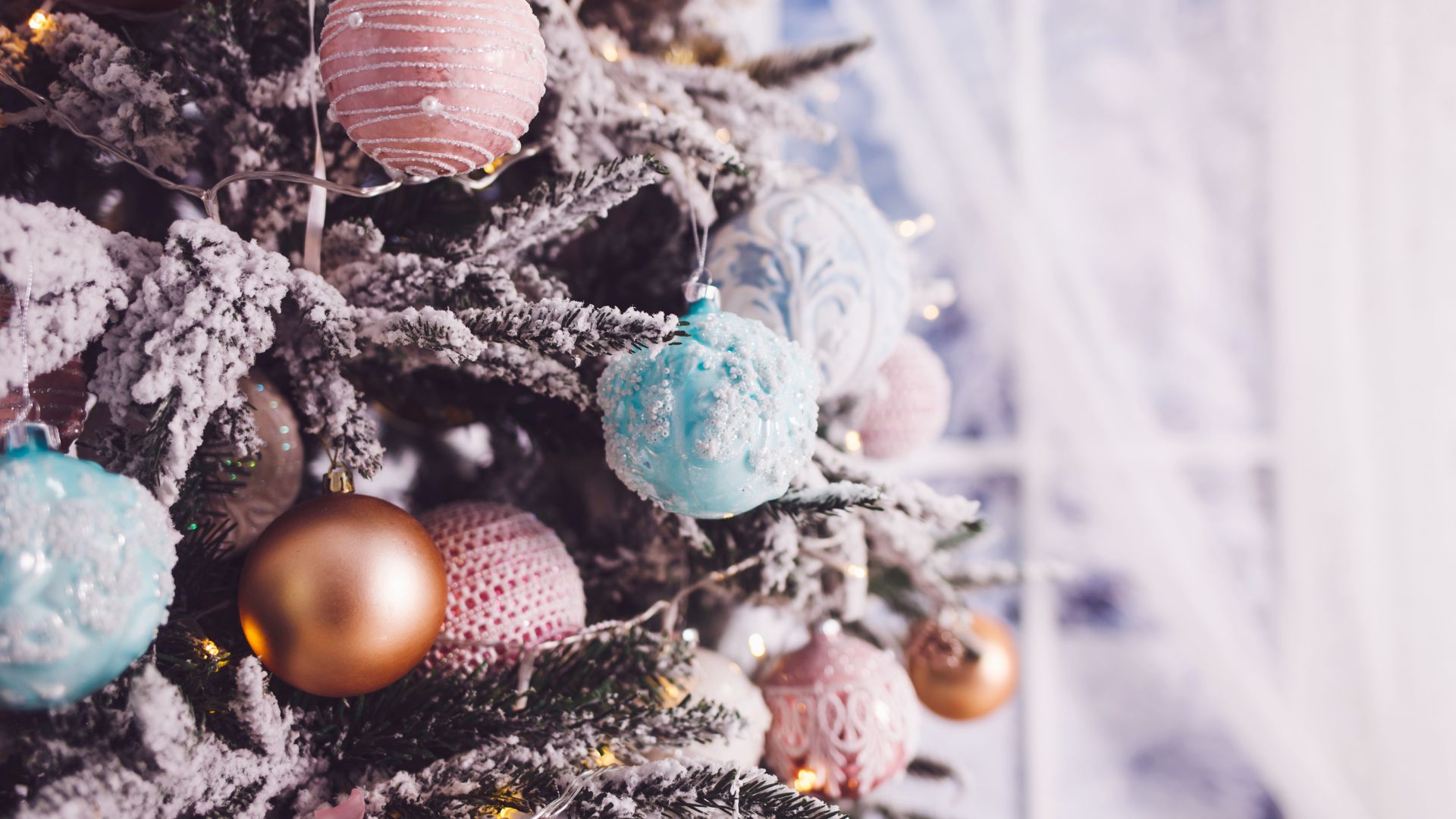 Sapin de noël