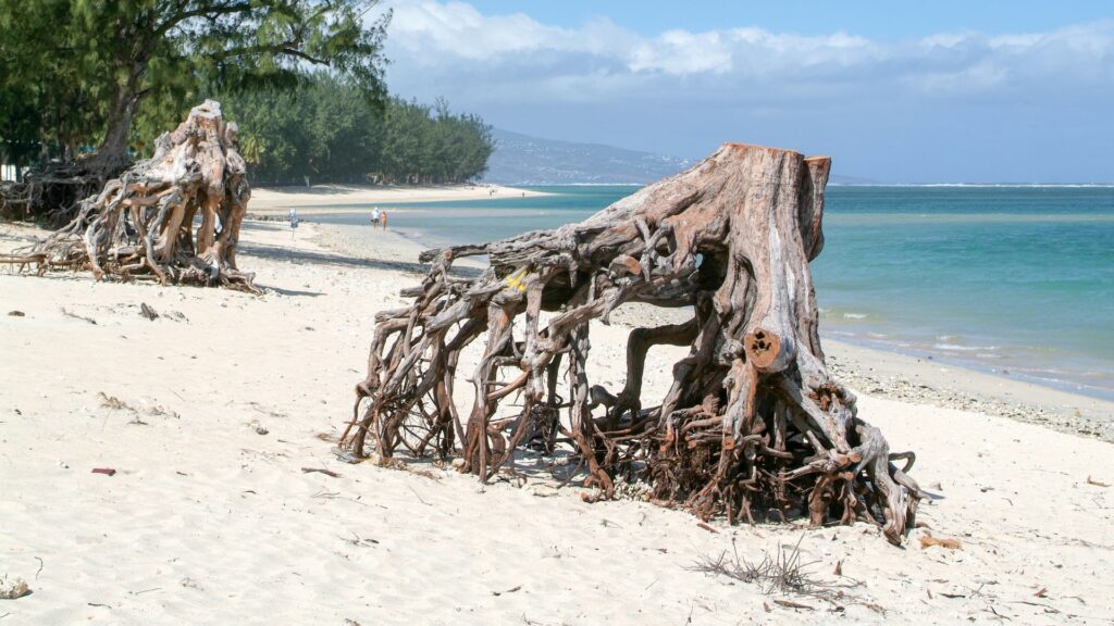 Plage La Réunion