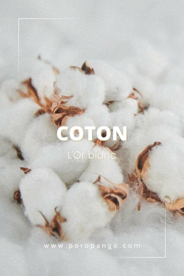 Article de blog Poropango : Coton - L'or blanc