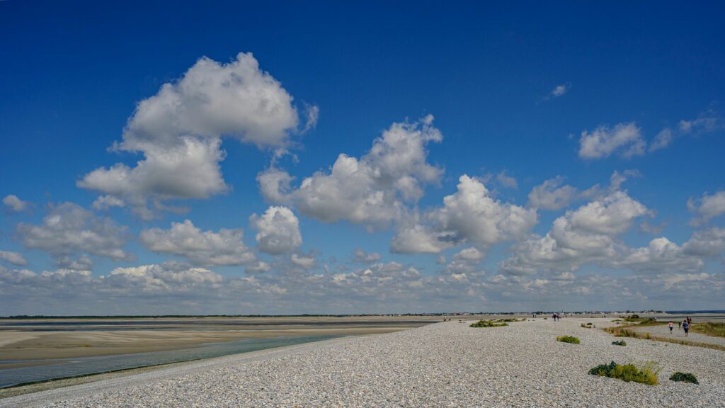 Baie de la Somme - France