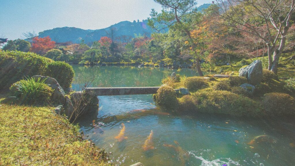 Momijigari (automne rouge) - Japon