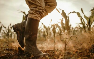 Les proverbes qui mettent à l&rsquo;honneur les Agriculteurs et les Éleveurs inspireront votre engagement pour la durabilité