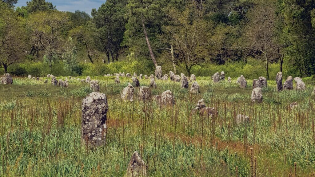 Alignements de menhirs de Carnac sous une lumière d’hiver, entourés d’ajoncs et de brume légère sur fond de ciel breton.
