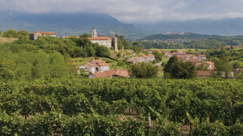 Vue du village de Vipava en hiver, avec ses toits rouges, les vignobles nus des collines environnantes et les eaux claires de la rivière serpentant au centre.