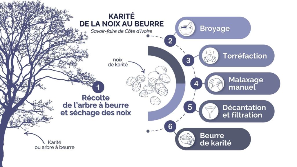 Infographie expliquant les étapes de fabrication du beurre de karité en Côte d’Ivoire : récolte, séchage, broyage, torréfaction, malaxage, décantation et filtration